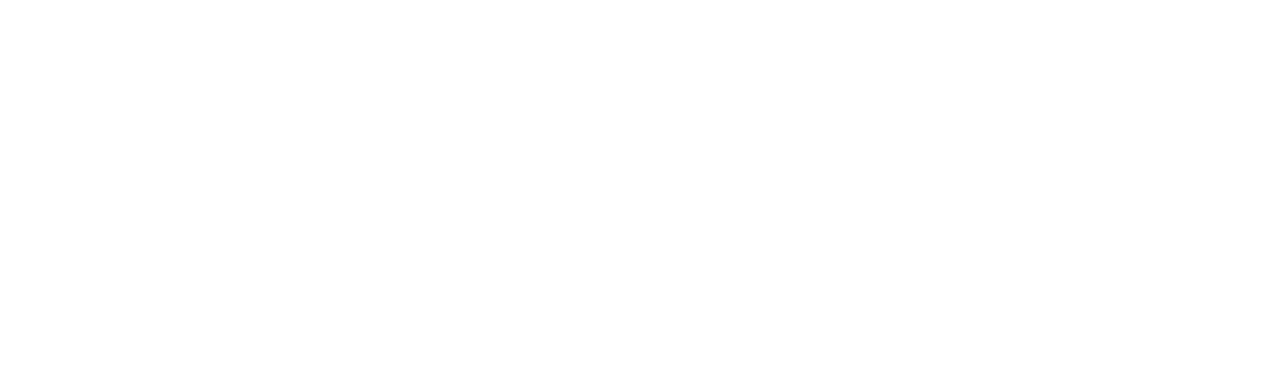 DV TV SK Logo